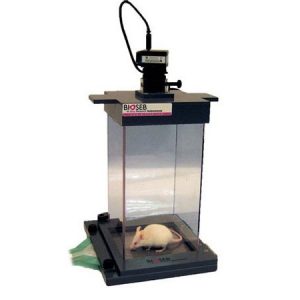 Dynamic Weight Bearing 2.0