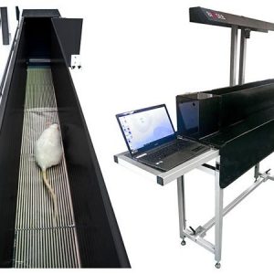 Kinetic Weight Bearing